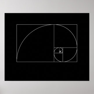 Poster Fibonacci Espiral