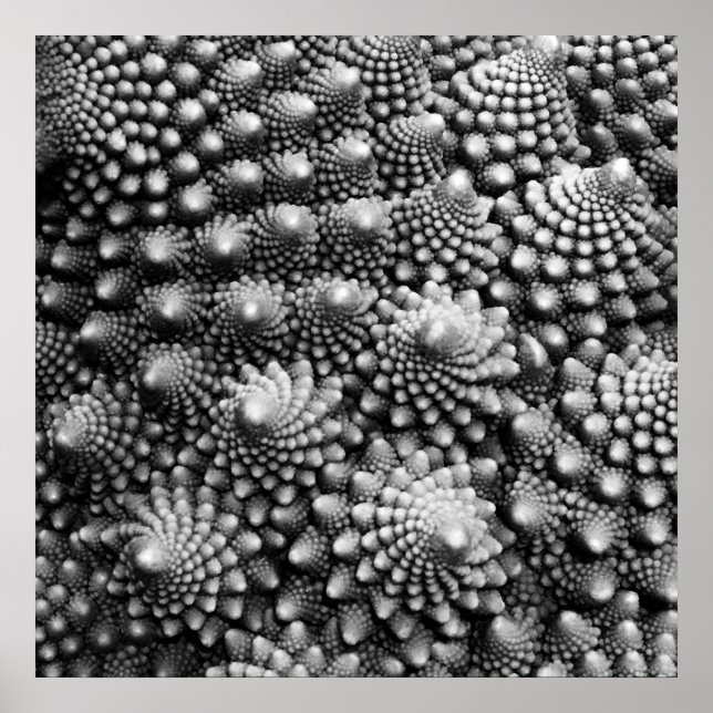 Poster Fibonacci Vegetable Fractal, Romanesco Broccoli (Frente)