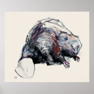 Pôster Fibra 2001 do rodízio