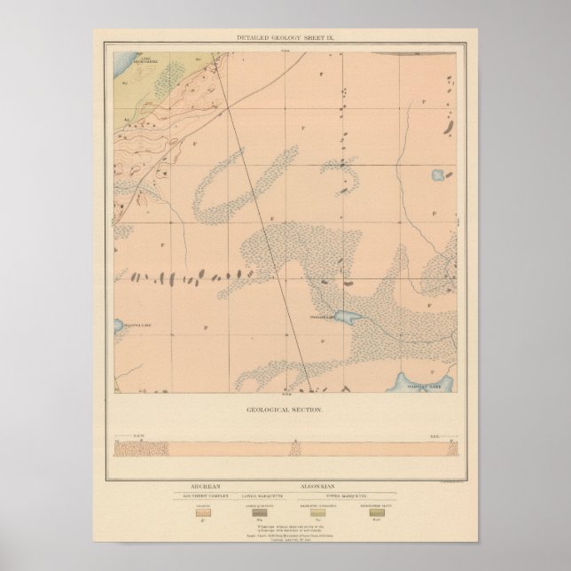 Pôster Ficha técnica IX (Frente)