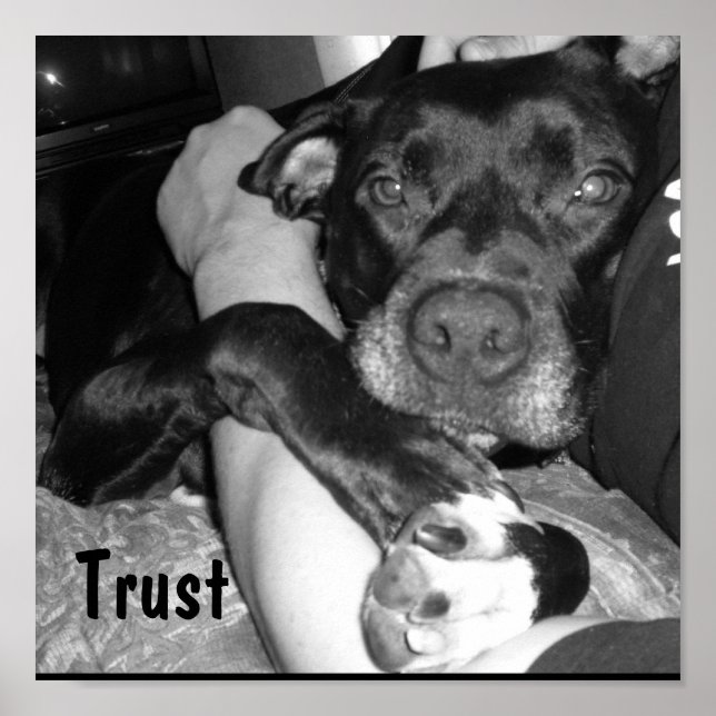 Pôster Fidedignidade Animal (Frente)