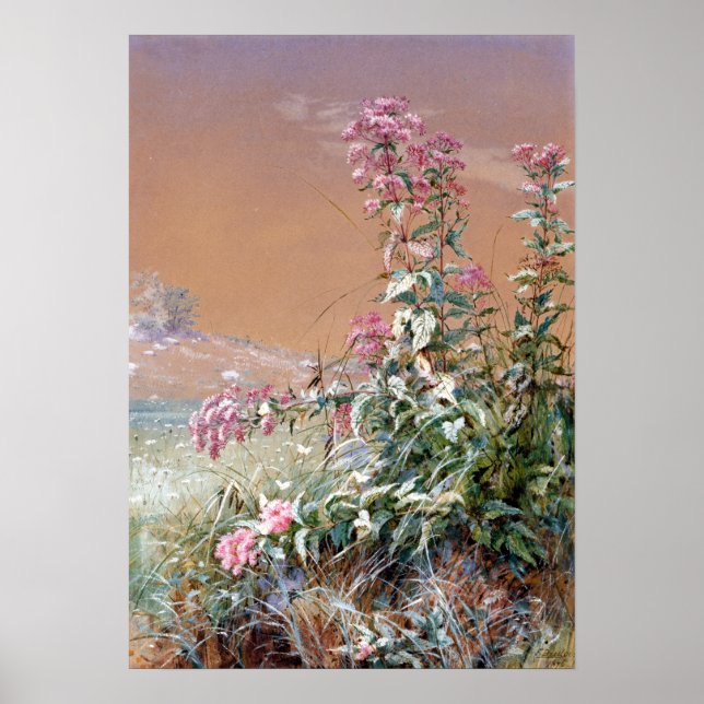 Poster Fidelia Bridges Sem Título (Frente)