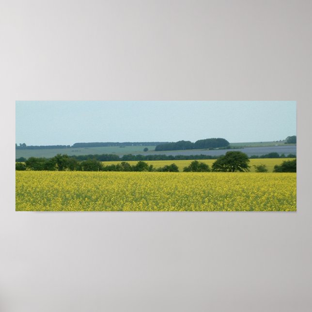 Pôster Fields (Frente)