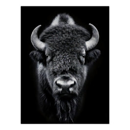 Pôster Fierce Black & White Bison Fine Art Photography |