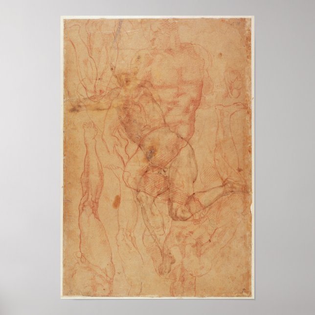 Pôster Figura Estudo (Frente)