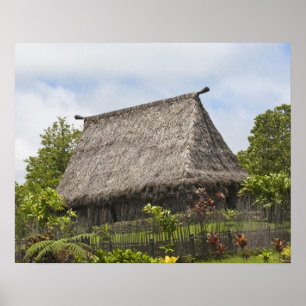 Pôster Fiji, Viti Levu Island. Cultural Polynesian