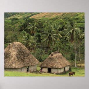 Poster Fiji, Viti Levu, Navala, casas tradicionais Bure