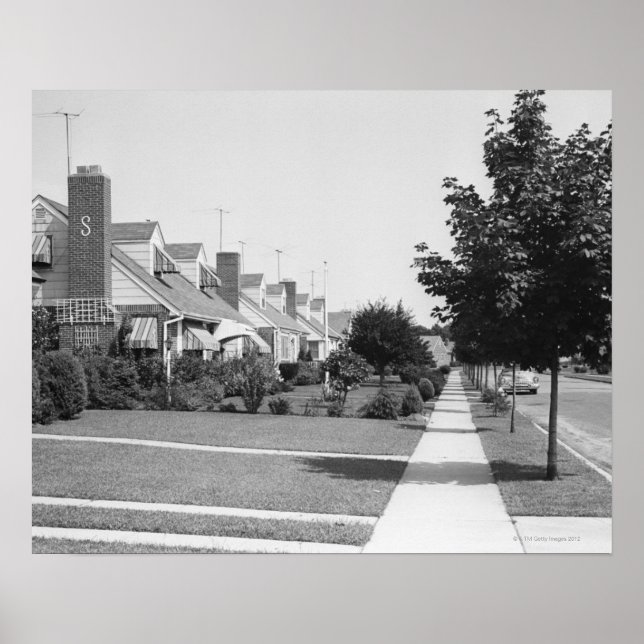 Pôster Fileira de Casas (Frente)