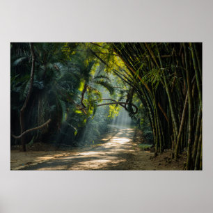 Poster Fileiras do bambu