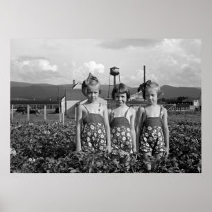 Poster Filhas de fazendeiro, 1939