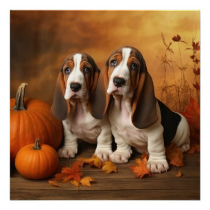 Pôster Filhote de Basset Hound Delícia de Outono Abóbora