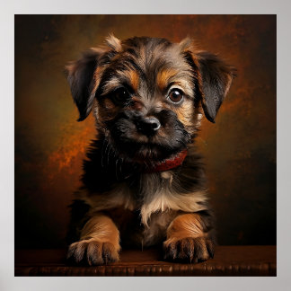Poster Filhote de Border Terrier