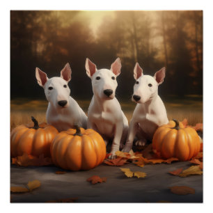 Pôster Filhote de Bull Terrier Delícia de Outono Abóbora