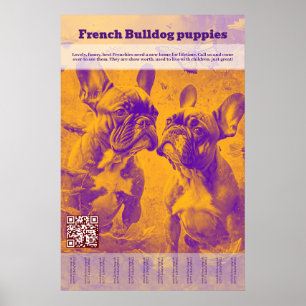 Poster Filhote de Bulldog Francês à Venda Desmembrável