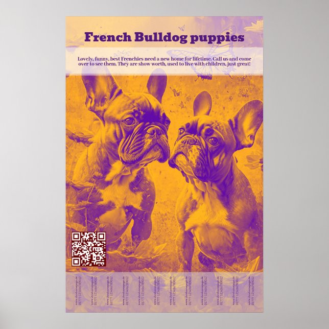 Poster Filhote de Bulldog Francês à Venda Desmembrável (Frente)