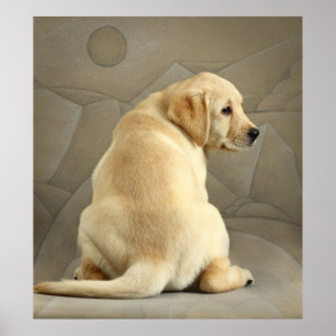 Pôster Filhote de cachorro amarelo de labrador retriever