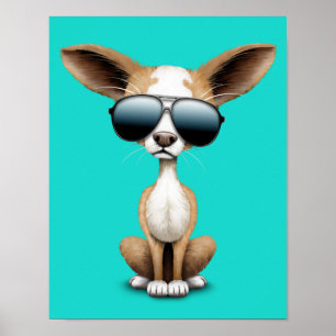 Poster Filhote de cachorro bonito da chihuahua que veste
