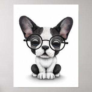 Pôster Filhote de cachorro bonito do buldogue francês co