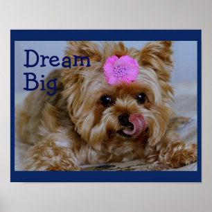 Poster Filhote de cachorro de Yorkie com a flor