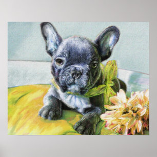 Poster filhote de cachorro do buldogue francês