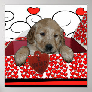 POSTER FILHOTE DE CACHORRO DOS NAMORADOS - I WUF VOCÊ!