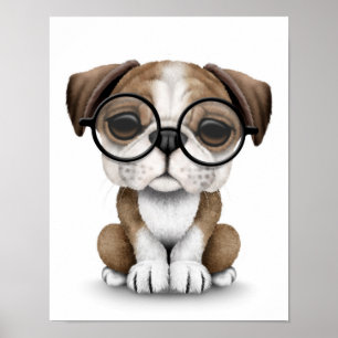 Pôster Filhote de cachorro inglês bonito do buldogue que