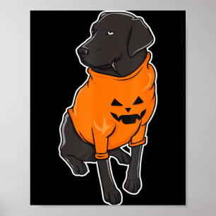 Poster Filhote de cachorro labrador preto mestiço Hallowe