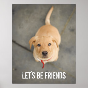 Pôster Filhote de cachorro vermelho de Labrador