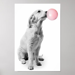 Poster Filhote de Retriever Dourado Berçário de Bolhas Cr