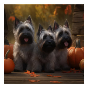 Pôster Filhote de Skye Terrier Outono Prazer Abóbora