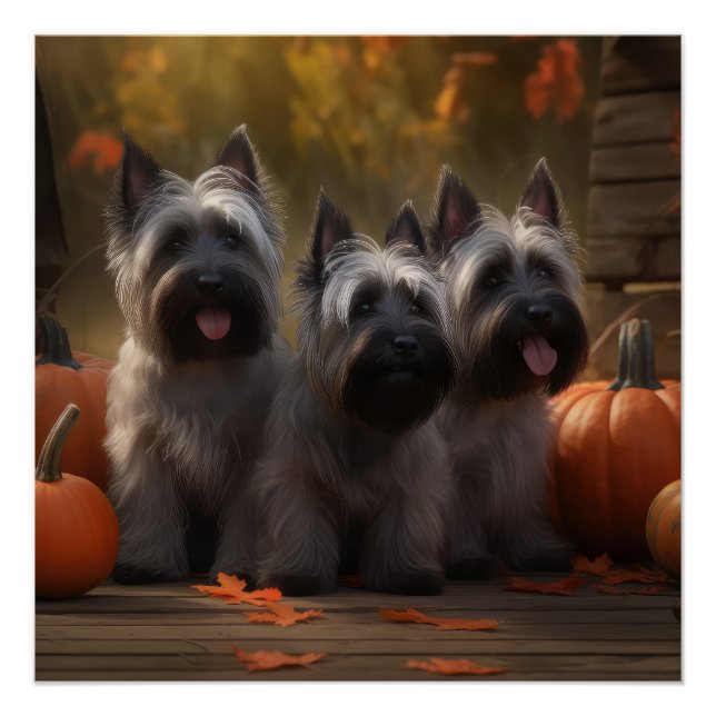 Pôster Filhote de Skye Terrier Outono Prazer Abóbora (Frente)
