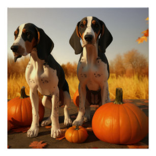 Pôster Filhote de Treeing Walker Coonhound Outono Abóbora