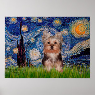 Pôster Filhote de Yorkshire Terrier - Noite Estrelada