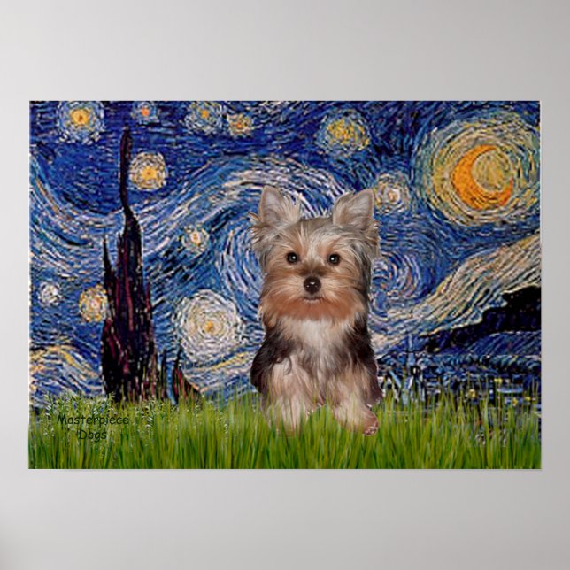 Pôster Filhote de Yorkshire Terrier - Noite Estrelada (Frente)