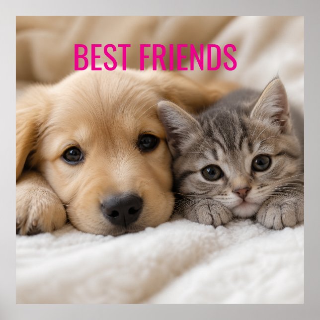 Poster Filhote e Gatinho Adormecidos se Aconchegam (Frente)