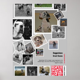Poster Filhote enorme de Dogue Alemão à venda
