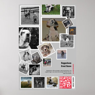 Poster Filhote enorme de Dogue Alemão à venda