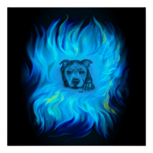 Pôster Filhote Staffy Azul