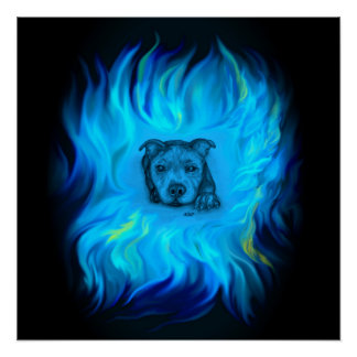 Pôster Filhote Staffy Azul