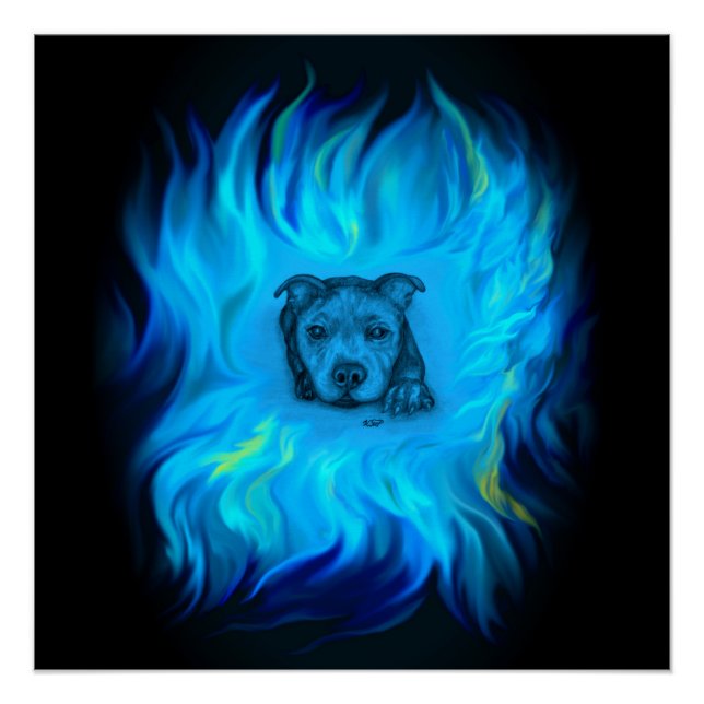Pôster Filhote Staffy Azul (Frente)