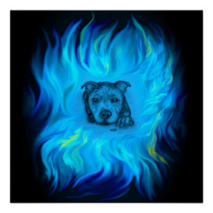 Pôster Filhote Staffy Azul