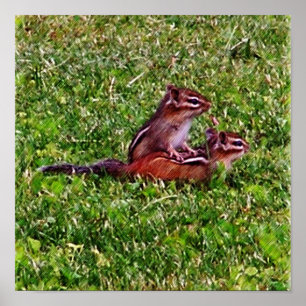 Poster Filhotes de Esquilos Primeiro Dia #5 Animal 