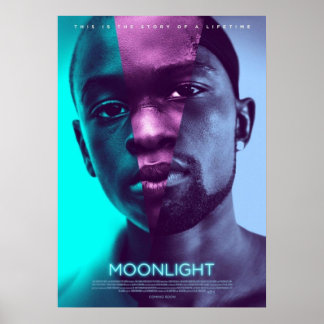 Poster filme ao luar da lua