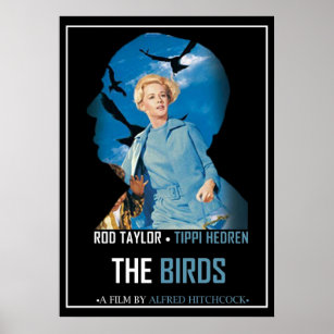 Poster Filme de Alternativo de Aves