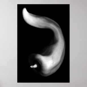 Poster Fim Curvy da pimenta acima da fotografia preto e