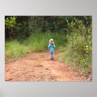 Pôster Fim da estrada