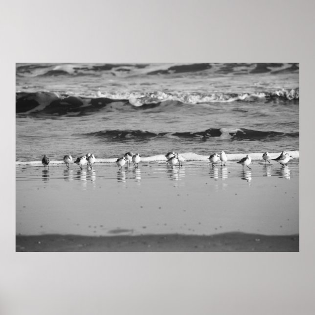 Poster Fim da linha (Frente)