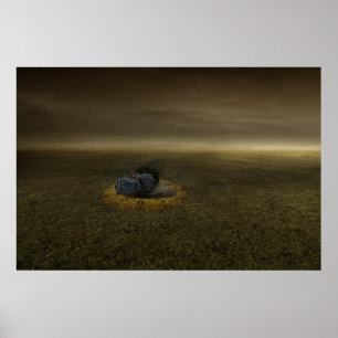 Pôster Fim de um objetivo 2013