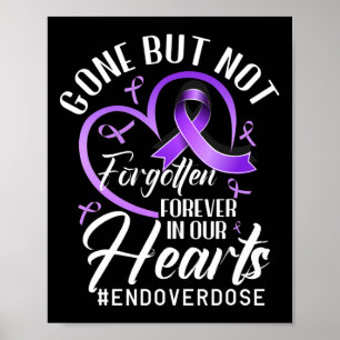 Poster Fim do Memorial de um ente querido por overdose Co