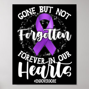 Poster Fim do Memorial do ente querido por overdose Consc